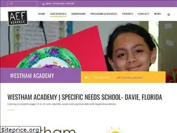 Sites similar to westhamacademy.com
