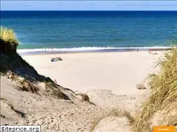 Sites similar to westjuetland.info