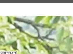 Sites similar to westmarketreport.com