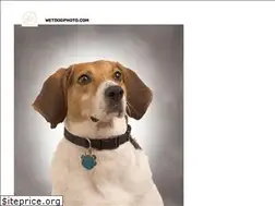 Sites similar to wetdogphoto.com
