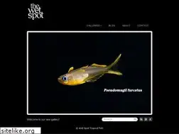 Sites similar to wetspotgallery.com
