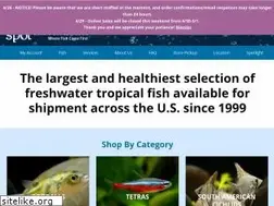 Sites similar to wetspottropicalfish.com