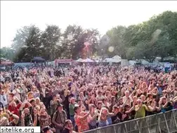 Sites similar to weyfest.co.uk