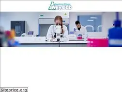 Sites similar to weyslab.com