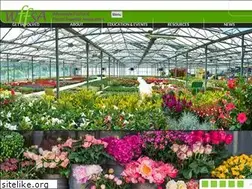 Sites similar to wffsa.org