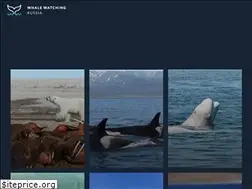 Sites similar to whale-expeditions.com