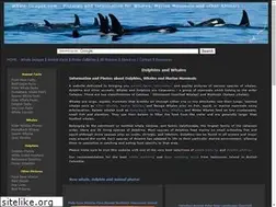 Sites similar to whale-images.com