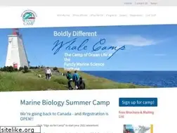 Sites similar to whalecamp.com