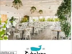Sites similar to whalersny.com