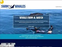Sites similar to whaleswimsherveybay.com.au