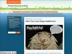 Sites similar to whaletimes.org