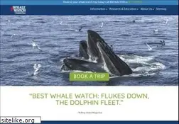Sites similar to whalewatch.com