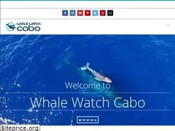 Sites similar to whalewatchcabo.com