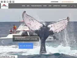 Sites similar to whalewatchingecuador.com