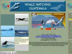 Sites similar to whalewatchingguatemala.com