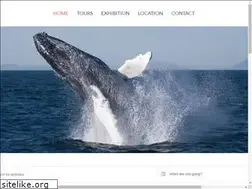 Sites similar to whalewatchingreykjavik.com