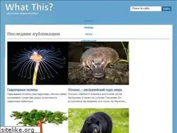 Sites similar to what-this.ru