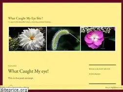 Sites similar to whatcaughtmyeyesite.wordpress.com