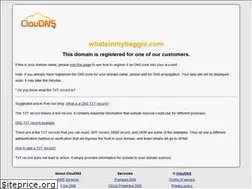 Sites similar to whatsinmybaggie.com
