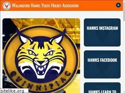 Sites similar to whawks.com