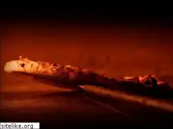Sites similar to wheatfire.com