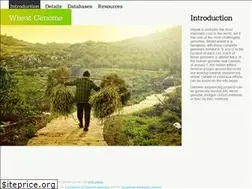 Sites similar to wheatgenome.info