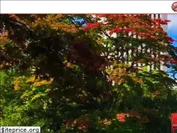 Sites similar to wheelchair-coder.com