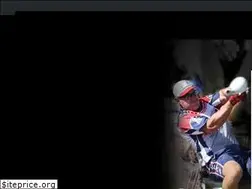 Sites similar to wheelchairsoftball.org