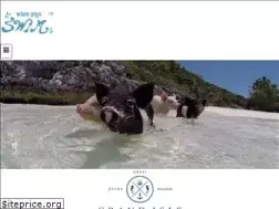 Sites similar to whenpigsswimexuma.com