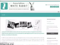 Sites similar to white-rabbit.org