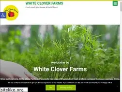 Sites similar to whitecloverfarms.com