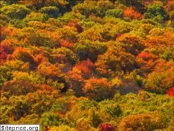 Sites similar to whiteco.tv