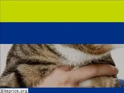Sites similar to whitecrossvets.co.uk