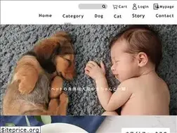 Sites similar to whitefox-online.com