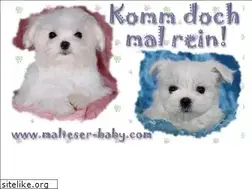 Sites similar to whitemagic.de