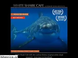 Sites similar to whitesharkcafefilm.com