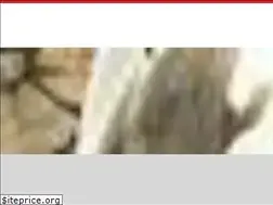 Sites similar to whiteystowing.net
