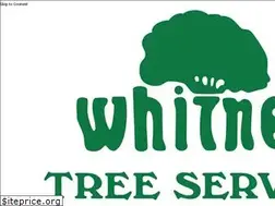 Sites similar to whitneytree.com