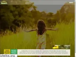 Sites similar to wholechildla.com