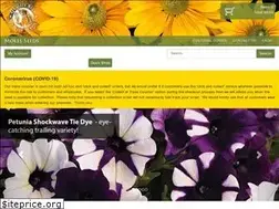 Sites similar to wholesale.molesseeds.co.uk