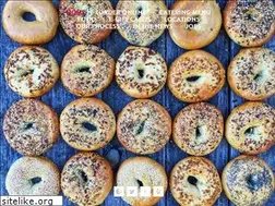 Sites similar to wholybagelatx.com