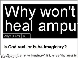 Sites similar to whywontgodhealamputees.com