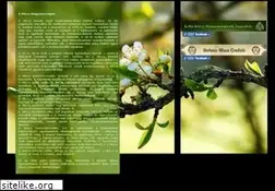 Sites similar to wicca.hu