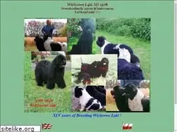 Sites similar to wichrowelaki.pl