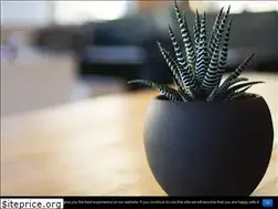 Sites similar to wiedenczyk.pl