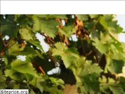 Sites similar to wijnhuis-online.nl