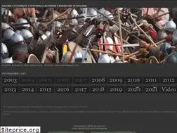 Sites similar to wikingowie.net