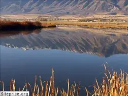 Sites similar to wildaboututah.org