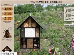 Sites similar to wildbienen.de