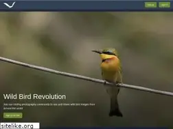 Sites similar to wildbirdrevolution.org